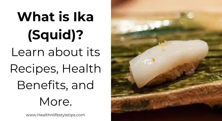what-is-ika-squid